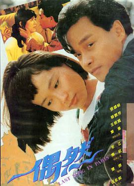 这个杀手不太冷 电影 1994 吕克·贝松